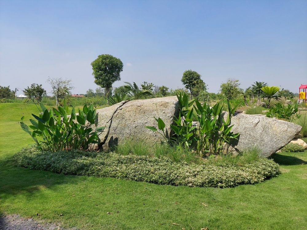 Vườn cảnh đồng quê